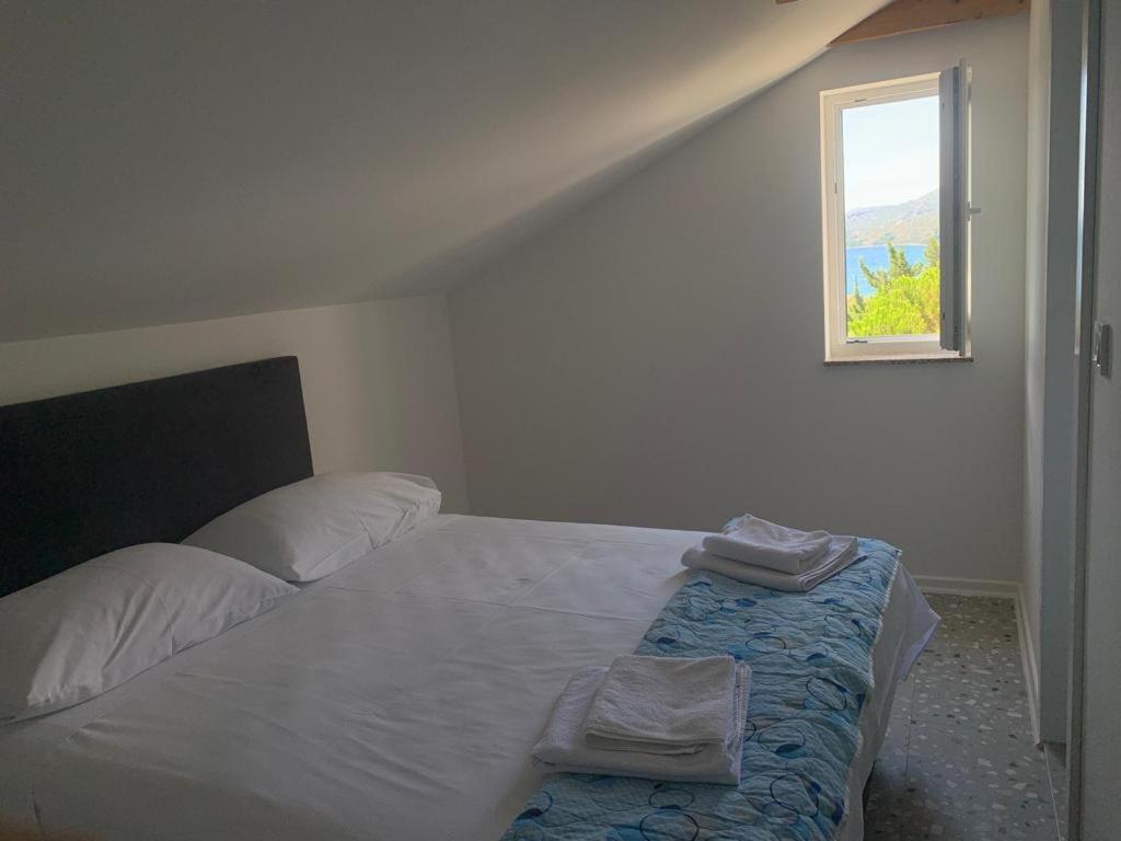 Maria Apartments Starigrad Paklenica Dış mekan fotoğraf