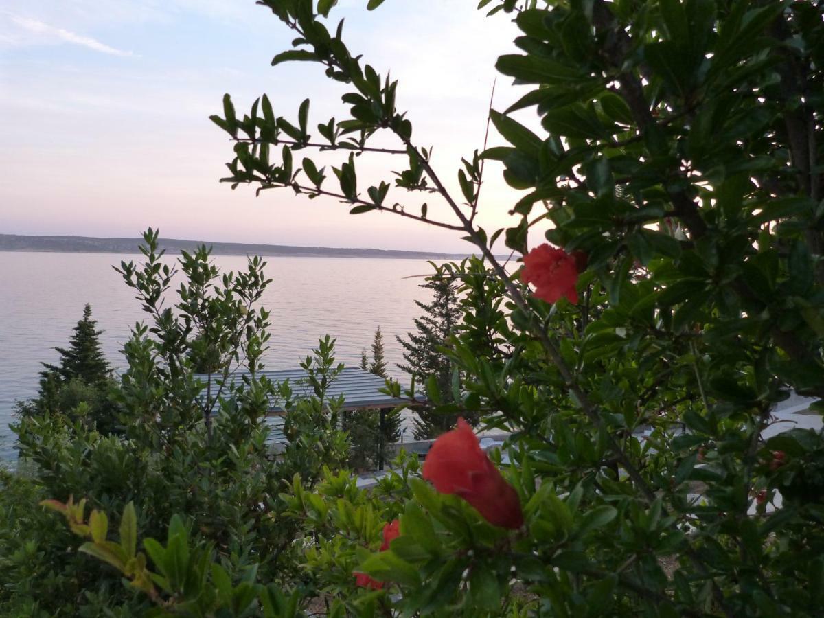 Maria Apartments Starigrad Paklenica Dış mekan fotoğraf